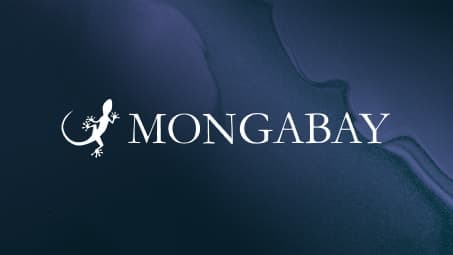 Mongobay Logo Thumbnail